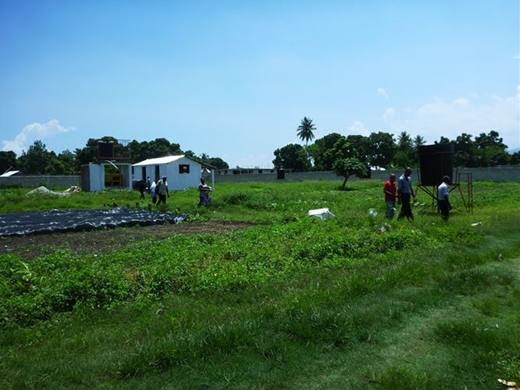 ハイチ：現地団体が運営する農業技術学校の建設支援